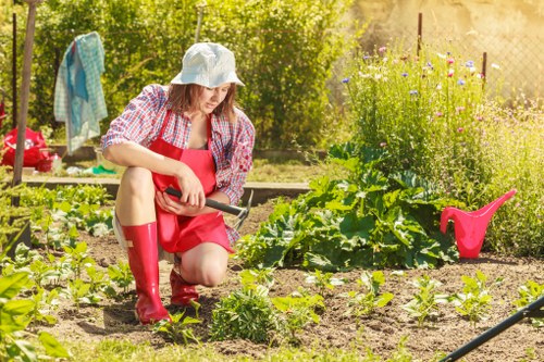 List of garden services on a clipboard in a residential London backyard