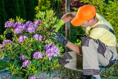 Lush green lawn managed by professionals