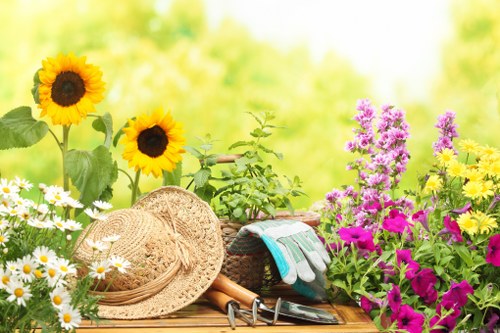 Eco-friendly lawn care services in Shepherds Bush